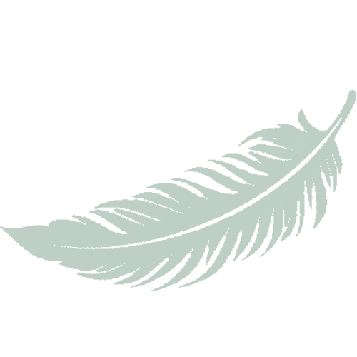 Trust-Image